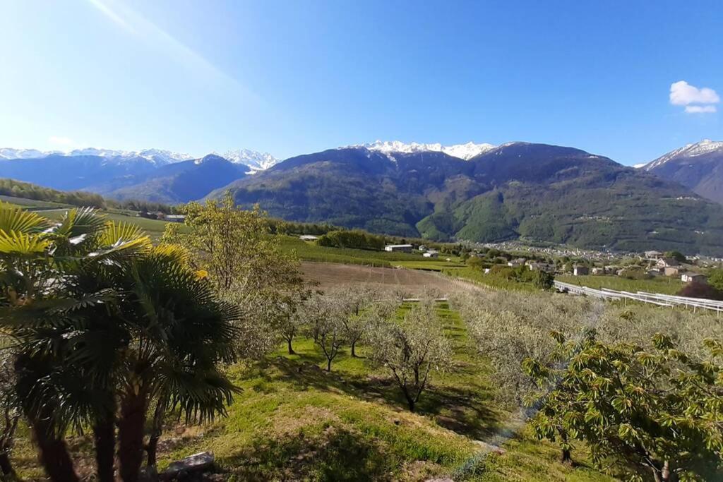 fantastica villa fra le Alpi valtellinesi Tresivio Esterno foto